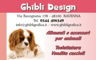 Ghibli Design - Biglietto personalizzabile,  #313 - fronte - 3801vecchio, 313, cane, cagnolino, animali, cucciolo, toelettatura, toeletta, king chevalier
