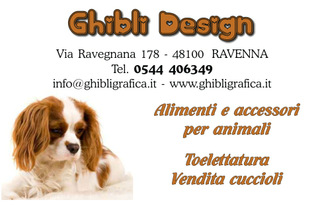 Ghibli Design - Biglietto personalizzabile,  #314 - fronte - cane, cagnolino, animali, cucciolo, toelettatura, toeletta, king chevalier