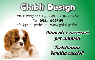 Ghibli Design - Biglietto personalizzabile,  #315 - fronte - cane, cagnolino, animali, cucciolo, toelettatura, toeletta, king chevalier