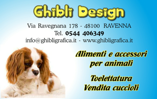 Ghibli Design - Biglietto personalizzabile,  #316 - fronte - cane, cagnolino, animali, cucciolo, toelettatura, toeletta, king chevalier, azzurro