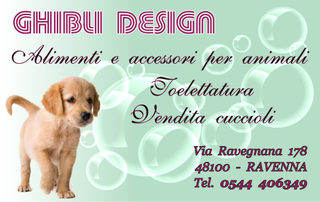 Ghibli Design - Biglietto personalizzabile,  #359 - fronte - 3704, 359, cucciolo, cane, bolle, toelettatura, labrador, golden retriever, verde, tessera fedeltà