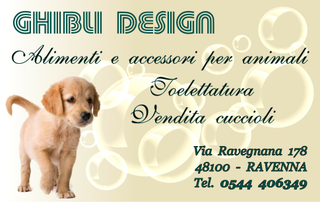 Ghibli Design - Biglietto personalizzabile,  #360 - fronte - cucciolo, cane, bolle, toelettatura, labrador, golden retriever, sabbia, tessera fedeltà