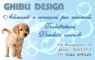 Ghibli Design - Biglietto personalizzabile,  #362 - fronte - cucciolo, cane, bolle, toelettatura, labrador, golden retriever, azzurro, tessera fedeltà