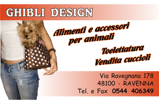 Ghibli Design - Biglietto personalizzabile,  #653 - fronte - cucciolo, cuccioli, cane, yorkshire terrier, vendita animali, toelettatura, plus