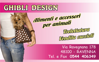 Ghibli Design - Biglietto personalizzabile,  #658 - fronte - cucciolo, cuccioli, cane, yorkshire terrier, vendita animali, toelettatura, plus